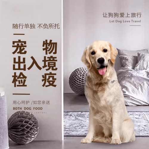 万宁市宠物托运到哥伦比亚猫狗宠物入境规定和