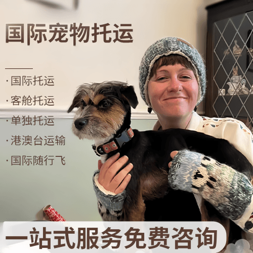 万宁市国际宠物托运到阿根廷宠物入境规定和要