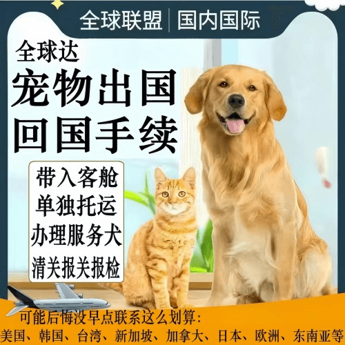 万宁市宠物托运到柬埔寨宠物入境规定和要求