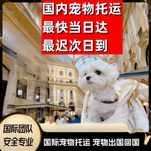 万宁市到澳大利亚（澳洲）宠物入境规定和要求
